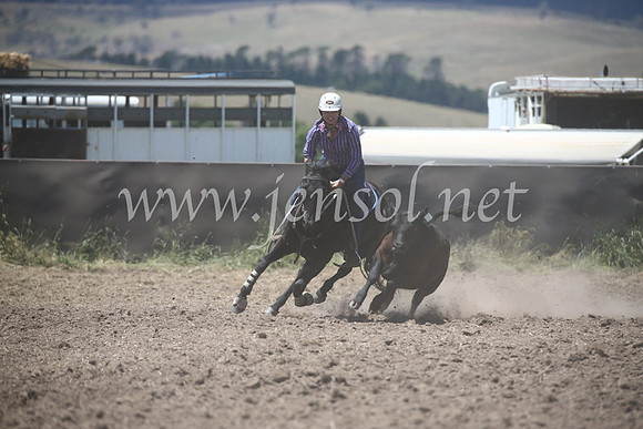 AdaminabyCampdraft2016_8260