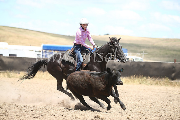 AdaminabyCampdraft2016_8360