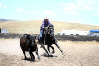 AdaminabyCampdraft2016_8240