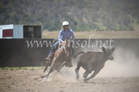 AdaminabyCampdraft2016_8266