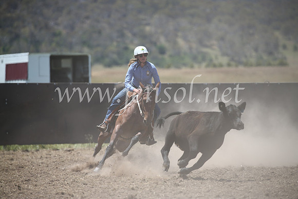 AdaminabyCampdraft2016_8266