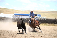 AdaminabyCampdraft2016_8282