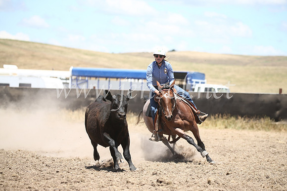 AdaminabyCampdraft2016_8282
