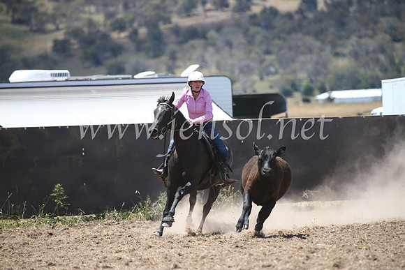 AdaminabyCampdraft2016_8351