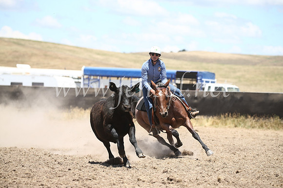 AdaminabyCampdraft2016_8281