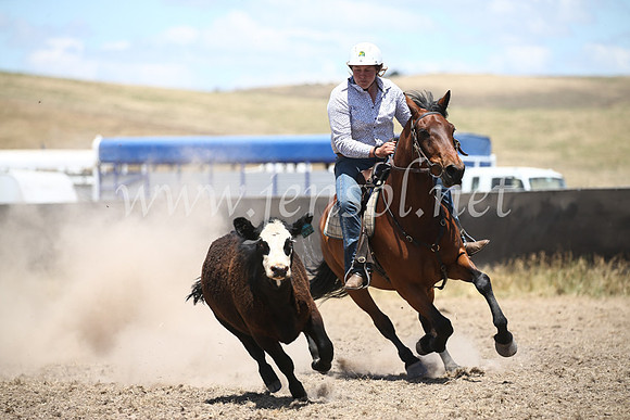 AdaminabyCampdraft2016_8294