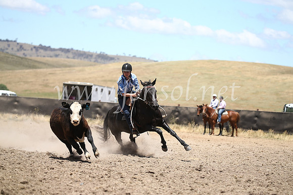 AdaminabyCampdraft2016_8334