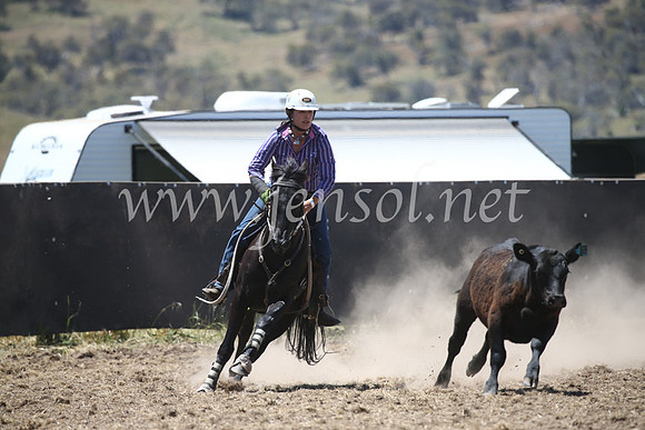 AdaminabyCampdraft2016_8237