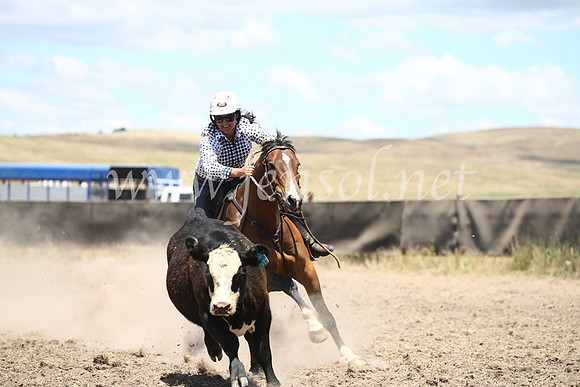 AdaminabyCampdraft2016_8323