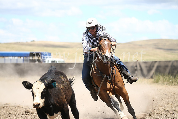 AdaminabyCampdraft2016_8324
