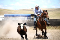 AdaminabyCampdraft2016_8298