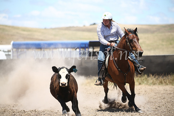 AdaminabyCampdraft2016_8298