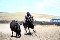 AdaminabyCampdraft2016_8239