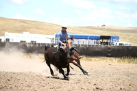 AdaminabyCampdraft2016_8268
