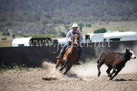 AdaminabyCampdraft2016_8283