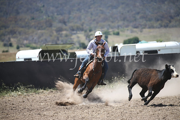 AdaminabyCampdraft2016_8283
