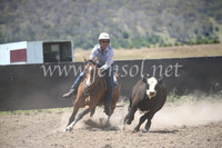 AdaminabyCampdraft2016_8315