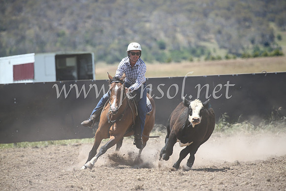 AdaminabyCampdraft2016_8315