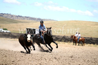 AdaminabyCampdraft2016_8335