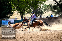 TaralgaCampdraft2018_2336