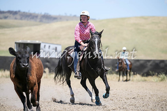 AdaminabyCampdraft2016_0419