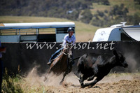 AdaminabyCampdraft2016_0366