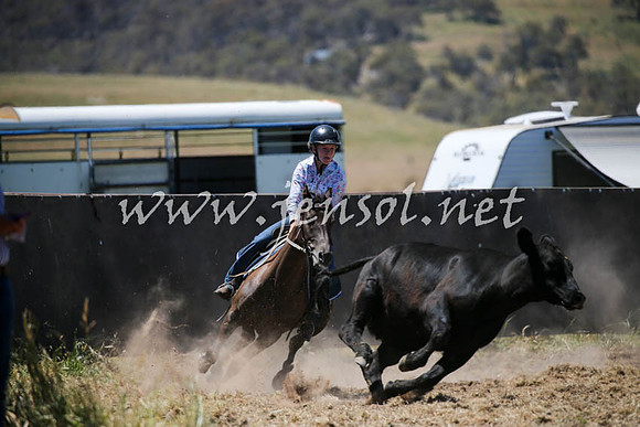 AdaminabyCampdraft2016_0366