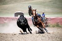 AdaminabyCampdraft2016_0359