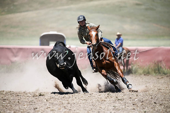 AdaminabyCampdraft2016_0359