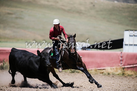 AdaminabyCampdraft2016_0383
