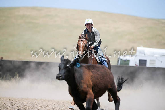 AdaminabyCampdraft2016_0364