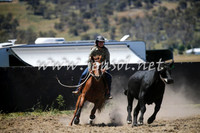 AdaminabyCampdraft2016_0347