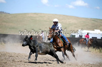 AdaminabyCampdraft2016_0415