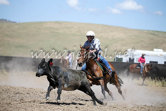 AdaminabyCampdraft2016_0415