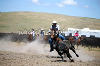 AdaminabyCampdraft2016_0414