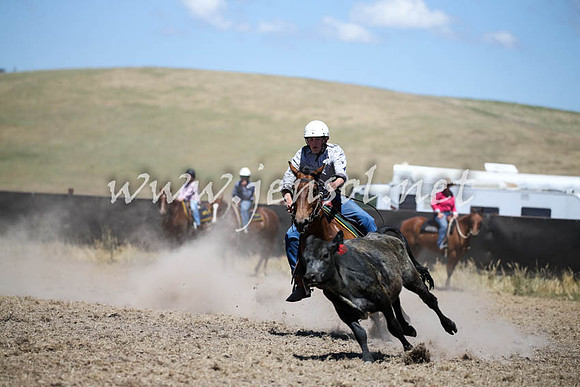 AdaminabyCampdraft2016_0414