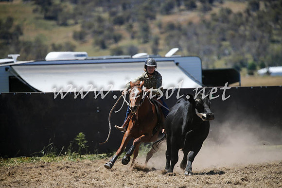 AdaminabyCampdraft2016_0340