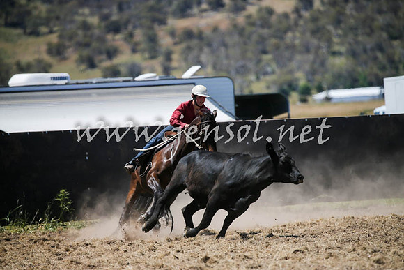 AdaminabyCampdraft2016_0375