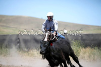 AdaminabyCampdraft2016_0327