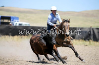 AdaminabyCampdraft2016_0410