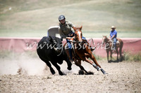 AdaminabyCampdraft2016_0350