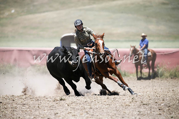 AdaminabyCampdraft2016_0350