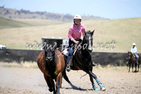 AdaminabyCampdraft2016_0422