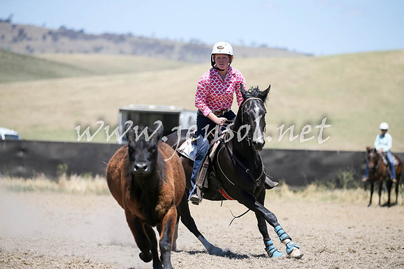 AdaminabyCampdraft2016_0422