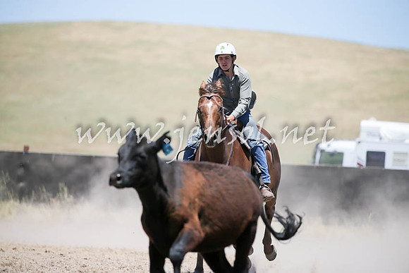 AdaminabyCampdraft2016_0363