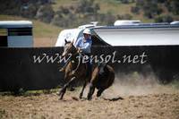 AdaminabyCampdraft2016_0398