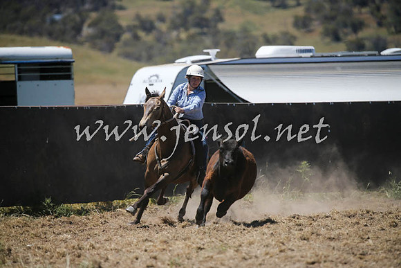 AdaminabyCampdraft2016_0398