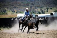 AdaminabyCampdraft2016_0331