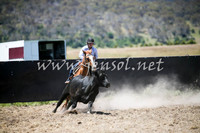 AdaminabyCampdraft2016_0389