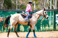 CooranbongSunOne_1679